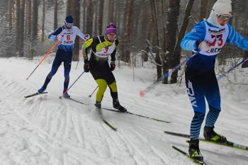 Команда института — призер областных соревнований по лыжным гонкам Команда института — призер областных соревнований по лыжным гонкам