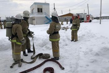 Студенты приобретают профессиональные навыки