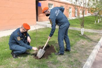 В институте отпраздновали День Победы