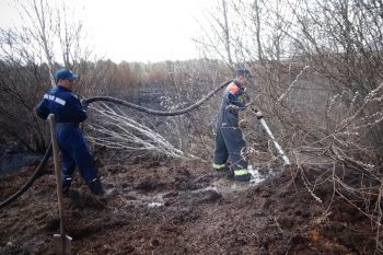 Студенческий спасательный отряд принял участие в тушении торфяных пожаров