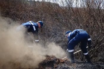 Студенческий спасательный отряд принял участие в тушении торфяных пожаров