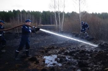 Студенческий спасательный отряд принял участие в тушении торфяных пожаров