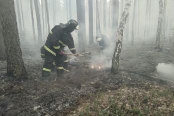 Личный состав института продолжает тушение пожаров в Курганской области