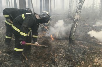 Личный состав института продолжает тушение пожаров в Курганской области