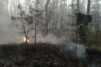 Личный состав института продолжает тушение пожаров в Курганской области