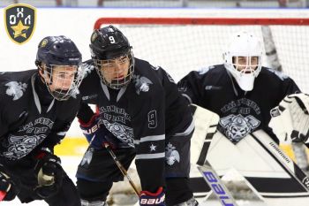 Дмитрий Осинцев: путь от первого шага на льду до вершин хоккейного мастерства Дмитрий Осинцев: путь от первого шага на льду до вершин хоккейного мастерства