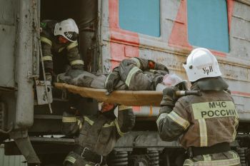 От теории к практике: курсанты успешно прошли комплекс сложных упражнений на полигоне От теории к практике: курсанты успешно прошли комплекс сложных упражнений на полигоне