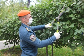 Курсанты приняли участие в экологической акции "Зелёная Россия"