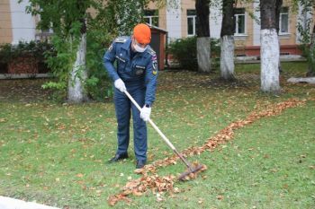 Курсанты приняли участие в экологической акции "Зелёная Россия"