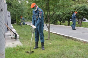 Курсанты приняли участие в экологической акции "Зелёная Россия"