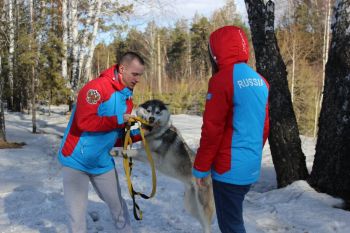 Курсанты провели день в приюте для собак северных ездовых пород